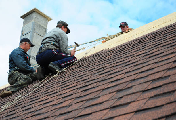 Best Tile Roofing Contractor  in Iraan, TX